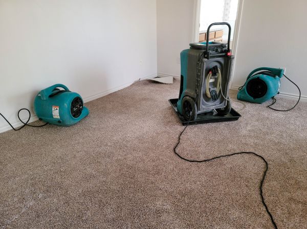 Flood Damage Repair in Arlington