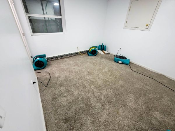 Flood Restoration Service in Arlington