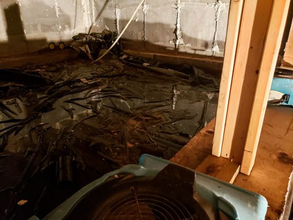 Cost of Crawlspace Water Cleanup in Arlington